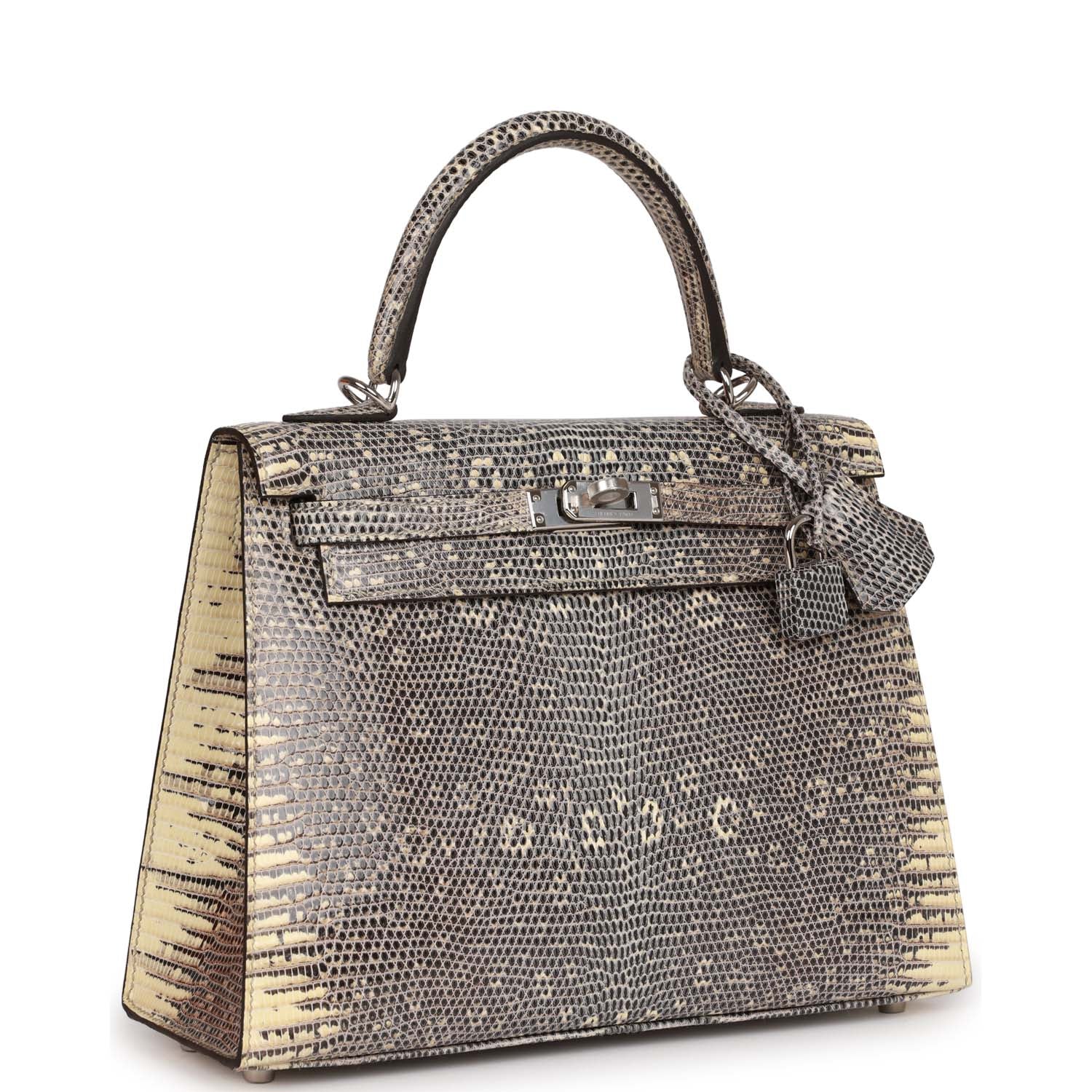 Hermes Kelly Sellier 25 Ombre Varanus Salvator Lizard Palladium Hardware - Exclusu