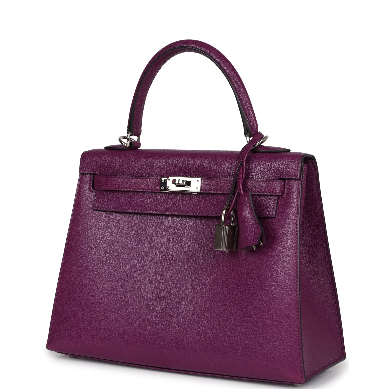 Hermes Kelly Sellier 25 Anemone Chevre Mysore Palladium Hardware - Exclusu
