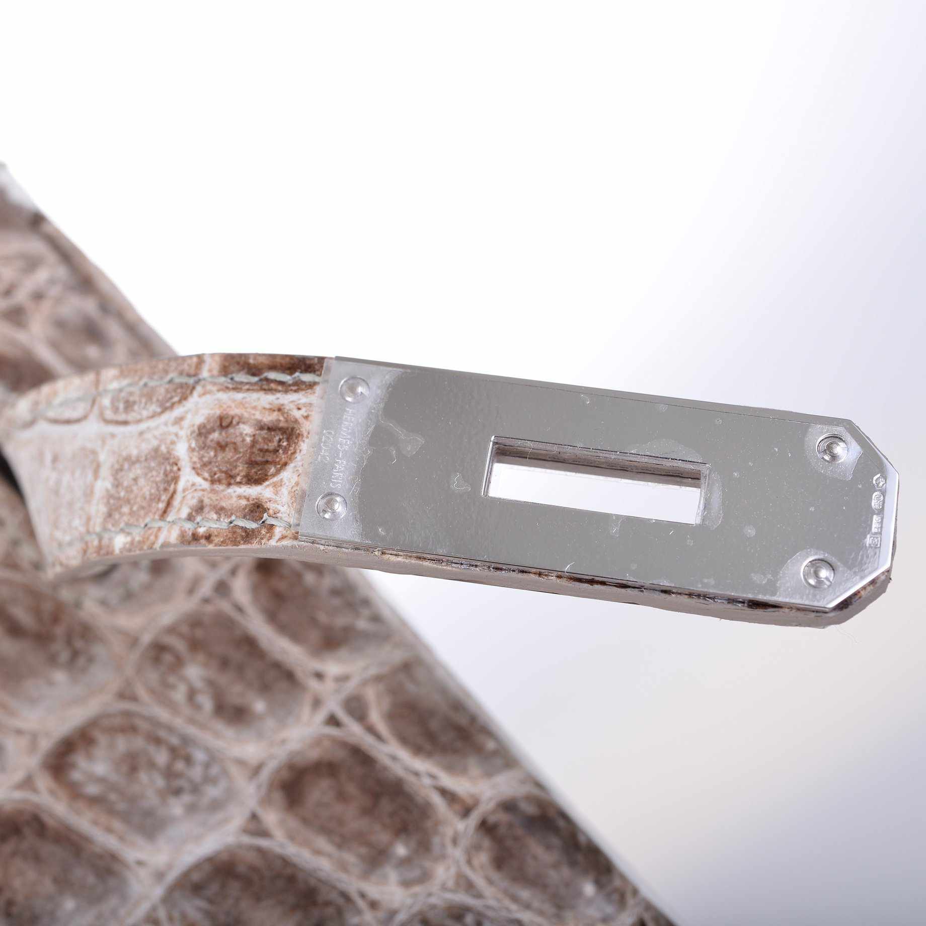 Hermes Birkin 30 Matte Himalayan Niloticus Crocodile with Diamonds & White Gold Hardware - Exclusu