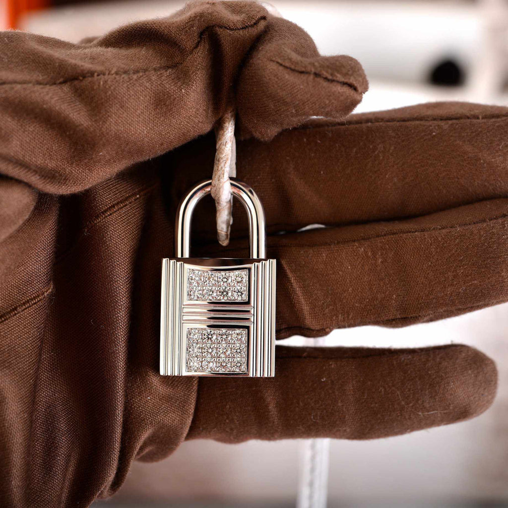 Hermes Birkin 30 Matte Himalayan Niloticus Crocodile with Diamonds & White Gold Hardware - Exclusu