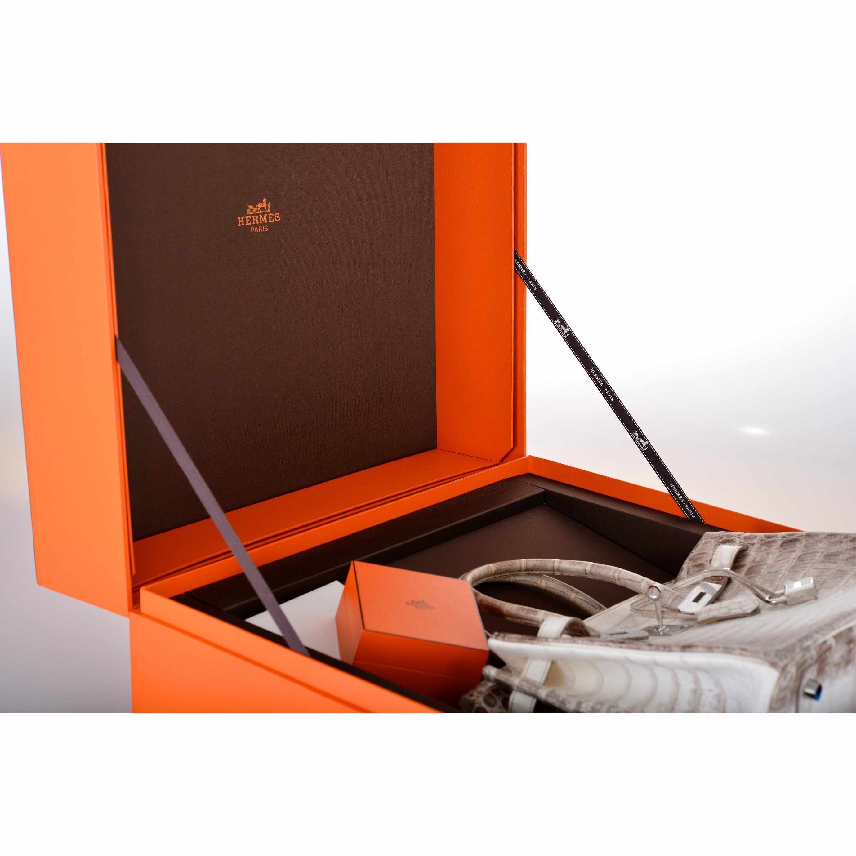 Hermes Birkin 30 Matte Himalayan Niloticus Crocodile with Diamonds & White Gold Hardware - Exclusu