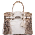 Hermes Birkin 30 Matte Himalayan Niloticus Crocodile Palladium Hardware - 2010, N Square - Exclusu