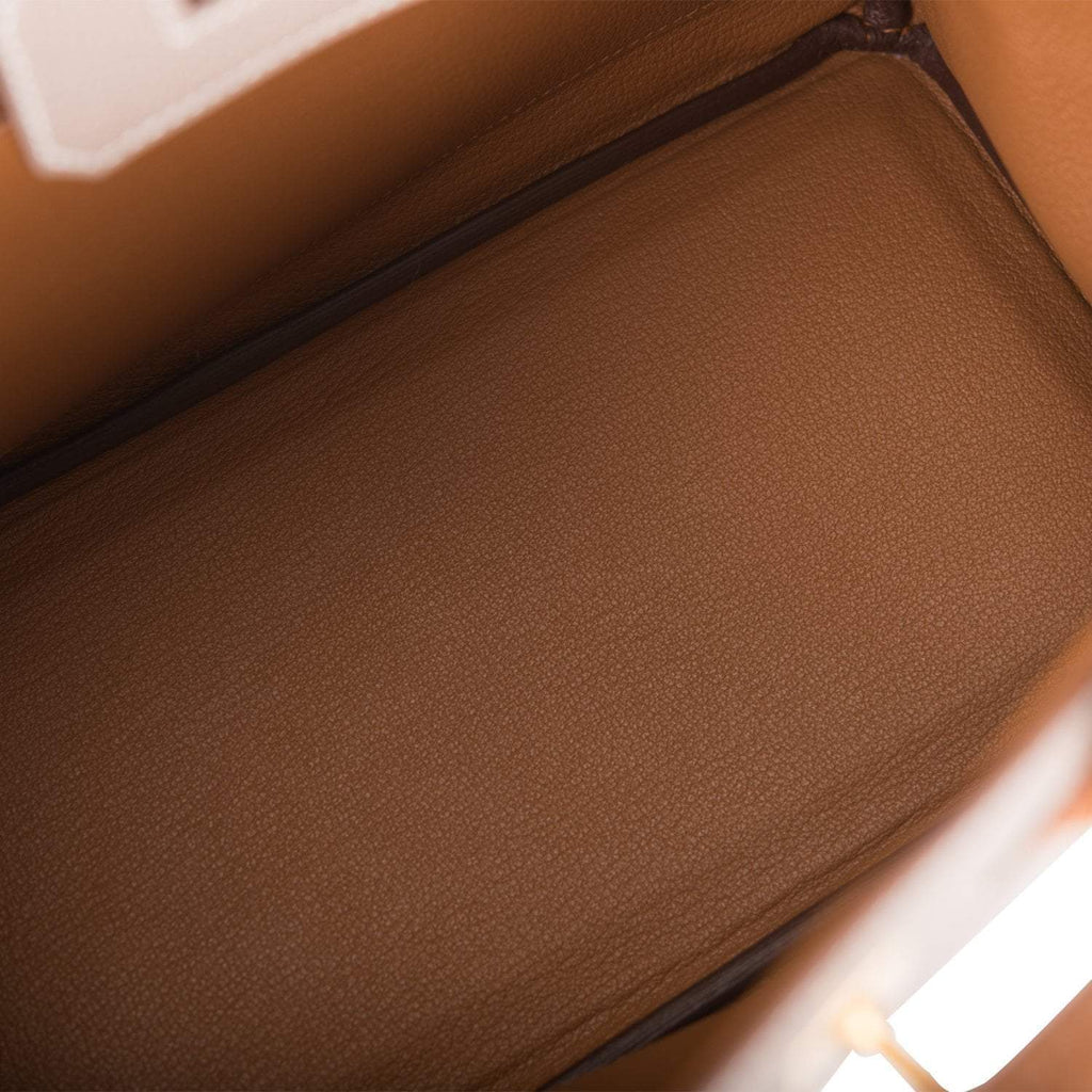 Hermes Birkin 25 Gris Asphalte and Gold Togo Brushed Gold Hardware - Exclusu