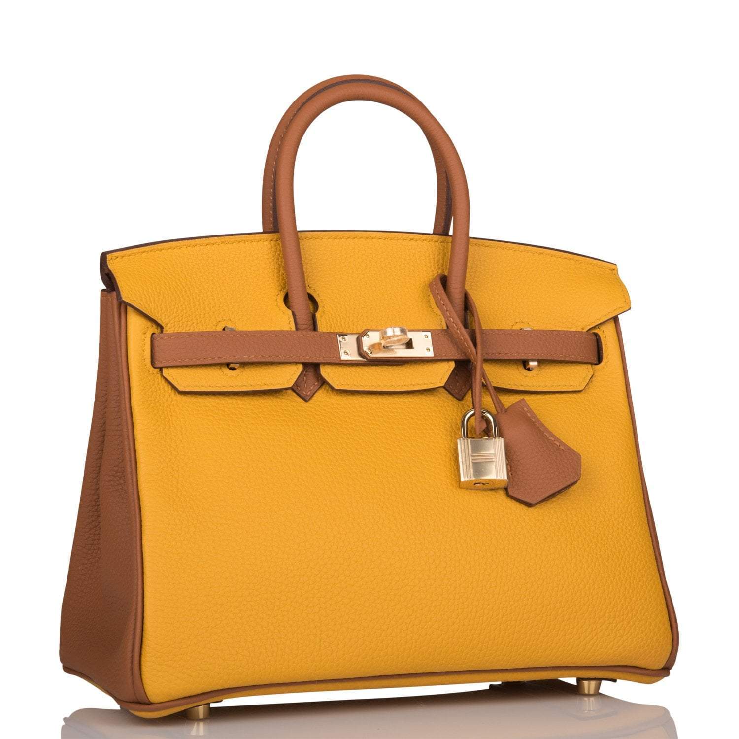 Hermes Birkin 25 Jaune Ambre and Gold Togo Permabrass Hardware - Exclusu