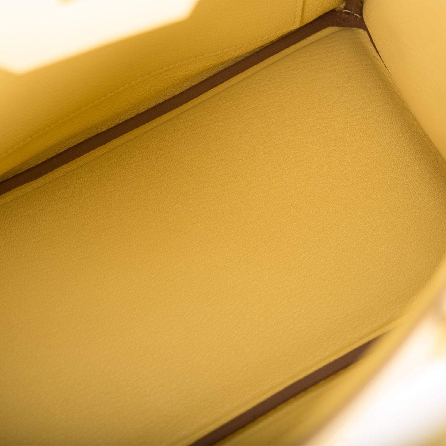 Hermes Birkin 25 Jaune Poussin Togo Gold Hardware - Exclusu