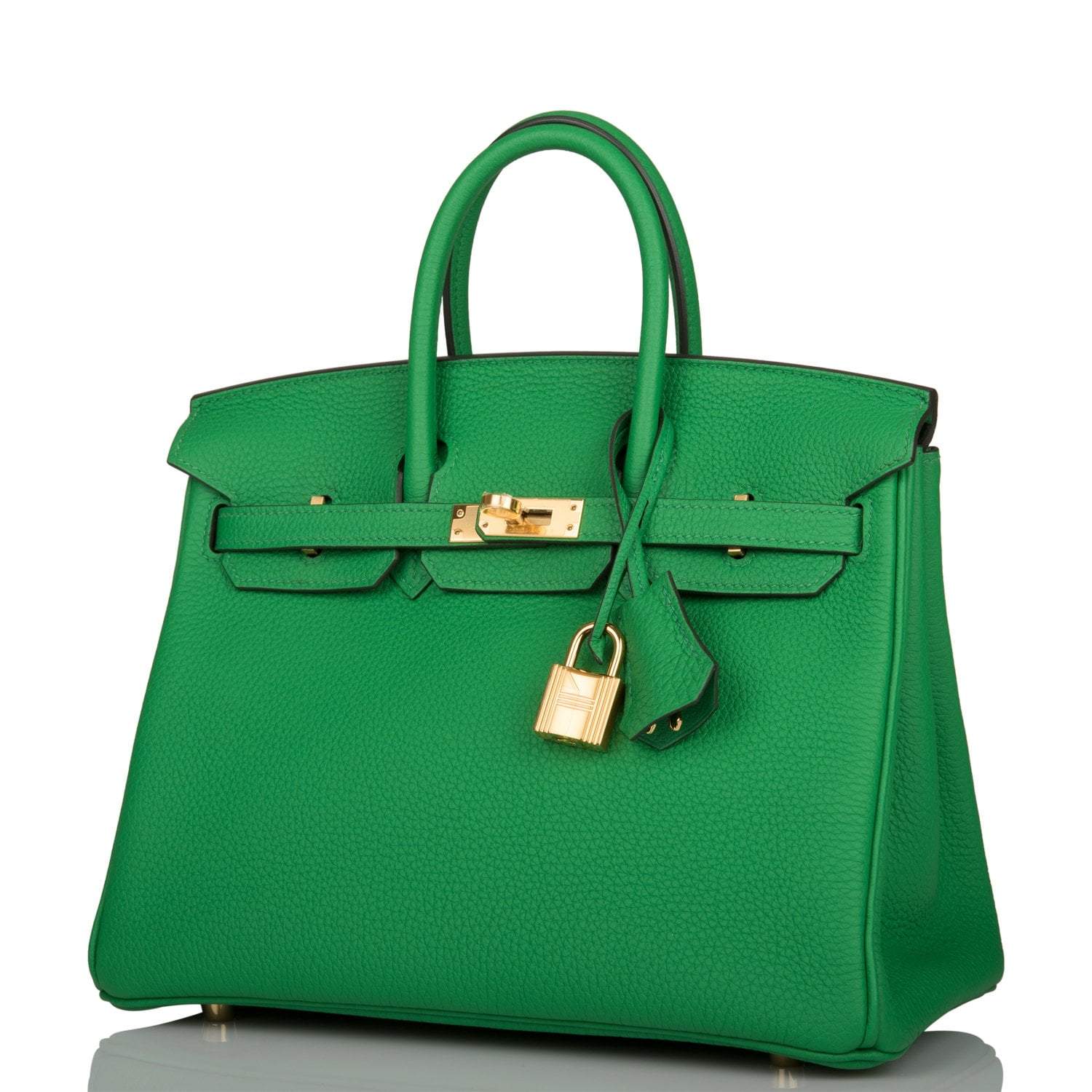 Hermes Birkin 25cm Bambou Togo Gold Hardware - Exclusu