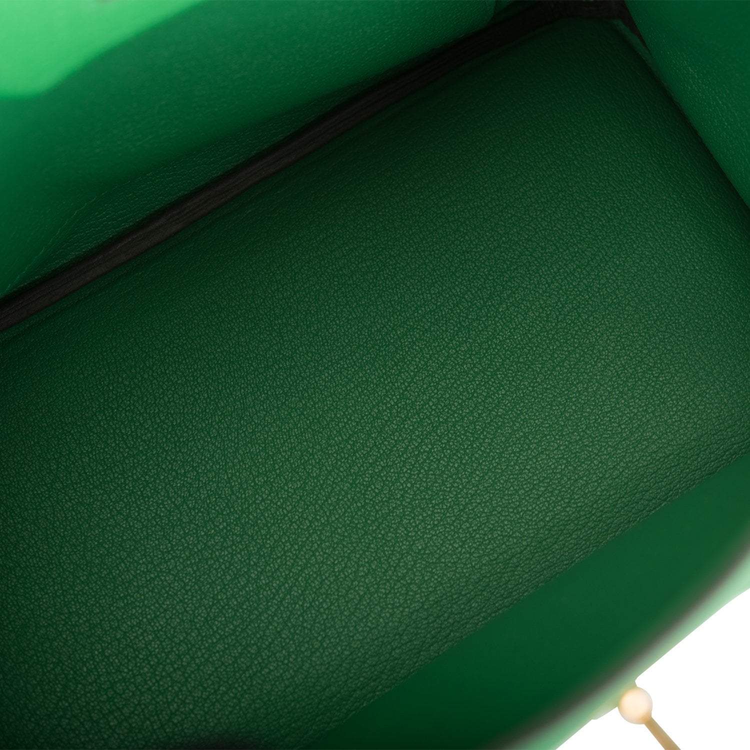 Hermes Birkin 25cm Bambou Togo Gold Hardware - Exclusu